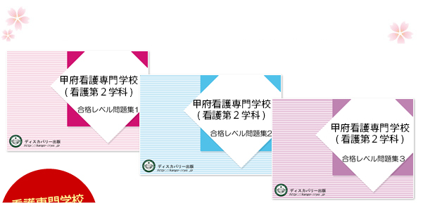 甲府看護専門学校 看護第２学科 受験合格セット 看護 医療系専門学校 志望校別問題集 看護 医療受験サクセス